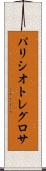 パリシオトレグロサ Scroll
