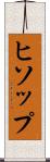 ヒソップ Scroll