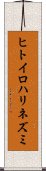 ヒトイロハリネズミ Scroll