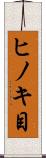 ヒノキ目 Scroll
