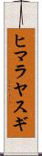 ヒマラヤスギ Scroll