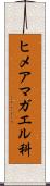 ヒメアマガエル科 Scroll