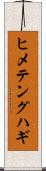 ヒメテングハギ Scroll