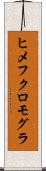 ヒメフクロモグラ Scroll
