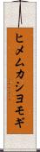 ヒメムカシヨモギ Scroll