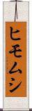ヒモムシ Scroll