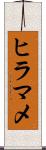 ヒラマメ Scroll