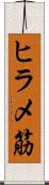 ヒラメ筋 Scroll