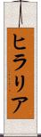 ヒラリア Scroll