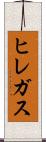 ヒレガス Scroll