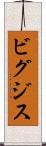 ビグジス Scroll