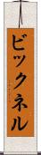 ビックネル Scroll