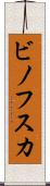 ビノフスカ Scroll