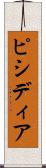 ピシディア Scroll