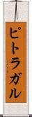 ピトラガル Scroll