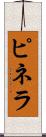 ピネラ Scroll