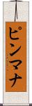 ピンマナ Scroll