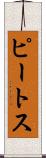 ピートス Scroll