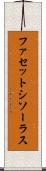ファセットシソーラス Scroll