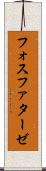 フォスファターゼ Scroll