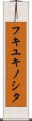 フキユキノシタ Scroll
