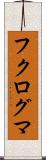 フクログマ Scroll