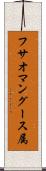 フサオマングース属 Scroll