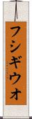 フシギウオ Scroll