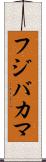 フジバカマ Scroll