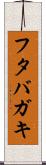 フタバガキ Scroll