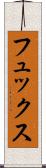 フュックス Scroll