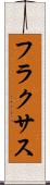 フラクサス Scroll