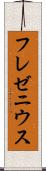 フレゼニウス Scroll