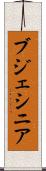 ブジェシニア Scroll