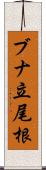 ブナ立尾根 Scroll