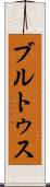 ブルトゥス Scroll