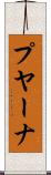 プヤーナ Scroll