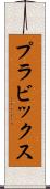 プラビックス Scroll