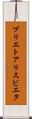 プリエトアリスビエタ Scroll