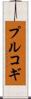 プルコギ Scroll