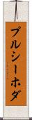 プルシーホダ Scroll