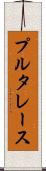 プルタレース Scroll