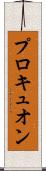 プロキュオン Scroll