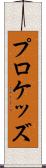 プロケッズ Scroll