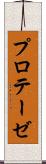 プロテーゼ Scroll