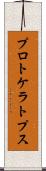 プロトケラトプス Scroll