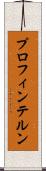 プロフィンテルン Scroll