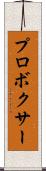 プロボクサー Scroll