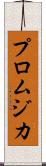 プロムジカ Scroll