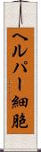 ヘルパー細胞 Scroll
